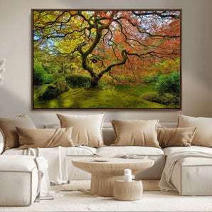 10316-MGV-CV-36X24-Japanese Maple Tree Wall Art – Colorful Autumn Foliage Canvas Print, Zen Nature Landscape Artwork for Living Room Bedroom, or