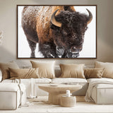 65605-MGV-CV-36X24-Snow Bison Wall Art – Close Up Buffalo Canvas Print, Rustic Western Wildlife Photography, Farmhouse Cabin Lodge Decor for Living