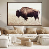 48406-MGV-CV-36X24-American Bison Wall Art – Rustic Buffalo Canvas Print in Prairie Field, Western Wildlife Photography Decor for Cabin, Lodge,