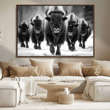 79872-MGV-CV-36X24-Bison Herd Wall Art – Black and White Buffalo on Snow Canvas Print, Rustic Wildlife Decor for Lodge, Cabin, or Living Room