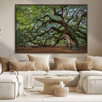 MGV-FC-36X24 - Historic Tree Wall Art Canvas Print, Framed Mossy Tree Art Picture Print, Twisted Branches Perfect Nature Southern Decor Artwork