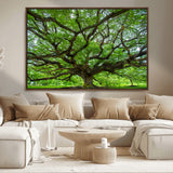 49375306-MGV-FC-36X24_Walnut-Ancient Tree Wall Art Canvas Print, Framed Sprawling Branches Art Picture Print, Gnarling Tree Perfect Earthy Natural Decor