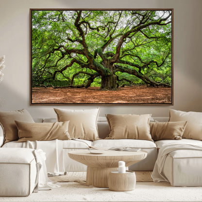 51255351-MGV-FC-36X24_Walnut-Ancient Tree Wall Art – Majestic Oak Canvas Print, Large Nature Photography, Sacred Forest Landscape Wall Décor, Wisdom Tree