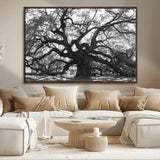 81655611-MGV-CV-36X24-Ancient Oak Wall Art Canvas Print, Framed Twisted Branches Art Picture Print, Gnarled Tree Perfect Moody Nature Decor Artwork