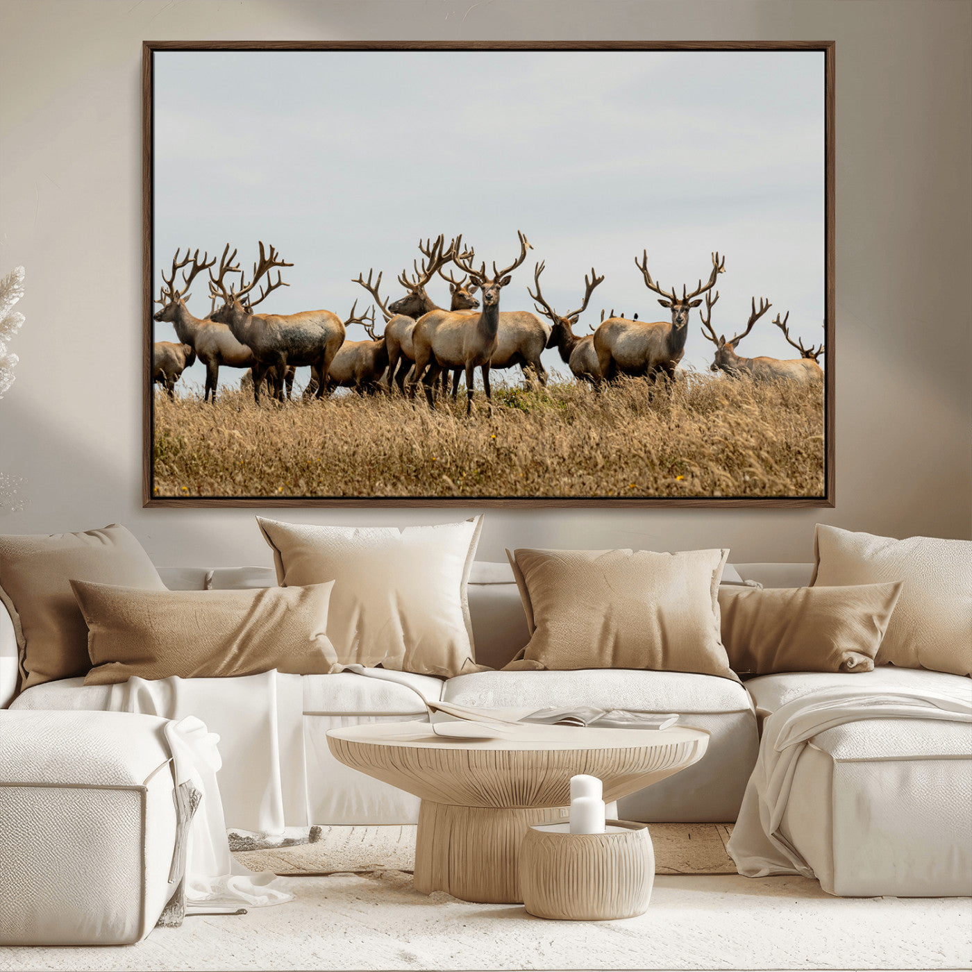 42170220-MGV-CV-36X24-Elk Herd Wall Art Canvas Print, Framed Wildlife Photography Art Picture Print, Majestic Antlers Perfect Rustic Wildlife Decor
