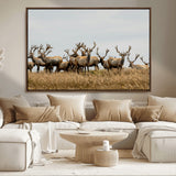 42170220-MGV-CV-36X24-Elk Herd Wall Art Canvas Print, Framed Wildlife Photography Art Picture Print, Majestic Antlers Perfect Rustic Wildlife Decor