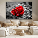 84671-MGV-CV-36X24-Red Rose Wall Art – Vibrant Single Bloom Canvas Print with Black and White Background, Elegant Floral Decor for Living Room,