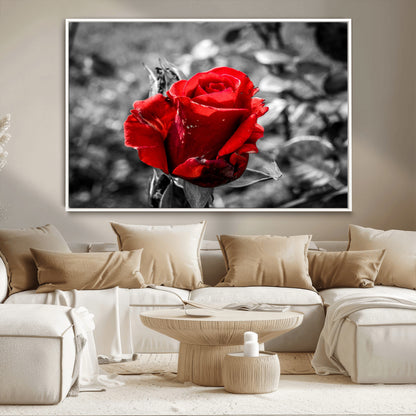 84671-MGV-CV-36X24-Red Rose Wall Art – Vibrant Single Bloom Canvas Print with Black and White Background, Elegant Floral Decor for Living Room,