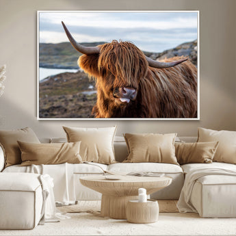 71222-MGV-CV-36X24-A playful Highland cow with shaggy fur sticks out its tongue, set against a rugged landscape — perfect for quirky home or office