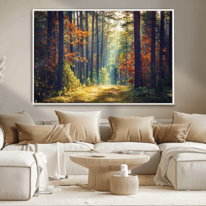 86249-MGV-CV-36X24-Sunlit Autumn Forest Path Wall Art – Peaceful Nature Scene with Fall Foliage, Calming Woods Decor for Home or Office
