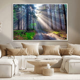 42047-MGV-CV-36X24-Sunlit Forest Path Wall Art – Nature Canvas Print, Serene Woodland Landscape, Perfect Home & Office Decor for Calm and Tranquil