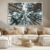 18790-MGV-CV-36X24-Pine Canopy Wall Art – Panoramic View of Towering Pines Canvas Print, Nature-Inspired Decor for Office, Cabin or Living Room