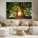 52150-MGV-CV-36X24-Majestic Tree Wall Art – Large Nature Canvas Print with Sunlight Through Branches, Rustic Forest Decor for Living Room, Bedroom or