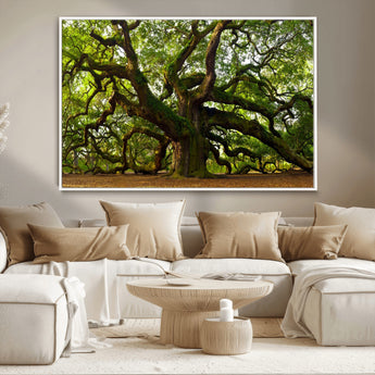 29407-MGV-CV-36X24-Ancient Oak Tree Wall Art – Majestic Nature Canvas Print, Large Tree Photography Decor for Living Room