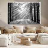 39665-MGV-CV-36X24-Black and White Forest Path Wall Art – Sunlight Rays in Trees Canvas Print, Nature Landscape Decor for Living Room or Office