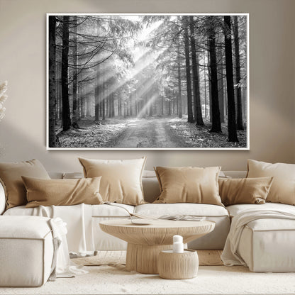 39665-MGV-CV-36X24-Black and White Forest Path Wall Art – Sunlight Rays in Trees Canvas Print, Nature Landscape Decor for Living Room or Office