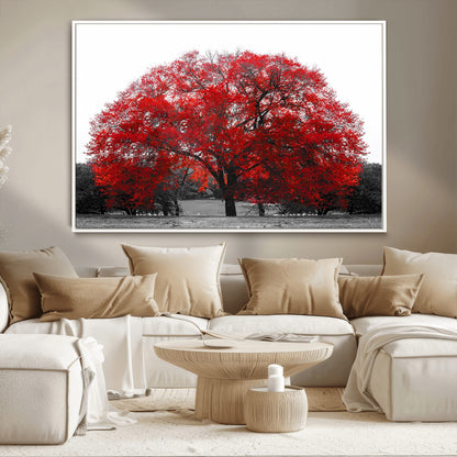 80021-MGV-CV-36X24-Red Tree Wall Art – Striking Black and White Landscape Canvas Print with Vibrant Red Leaves, Modern Nature Decor for Living Room