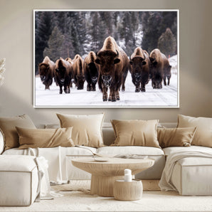 66871-MGV-CV-36X24-Bison Herd Wall Art – Wildlife Buffalo Canvas Print, Rustic Western Nature Photography Decor for Living Room, Office, Cabin, or