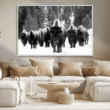 62434-MGV-CV-36X24-Bison Herd Wall Art – Majestic Black and White Buffalo Canvas Print, Wildlife Nature Photography Decor for Living Room, Office or