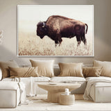 48406-MGV-CV-36X24-American Bison Wall Art – Rustic Buffalo Canvas Print in Prairie Field, Western Wildlife Photography Decor for Cabin, Lodge,