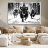 97552-MGV-CV-36X24-Black and White Bison Wall Art – Buffalo Herd Running in Snow Canvas Print, Rustic Wildlife Photography Decor for Cabin, Lodge, or