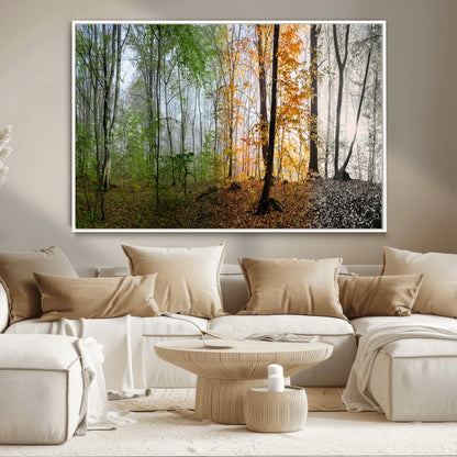 95317-MGV-CV-36X24-Four Seasons Forest Wall Art – Panoramic Nature Canvas Print Showing Spring, Summer, Autumn and Winter Landscape for Living Room,