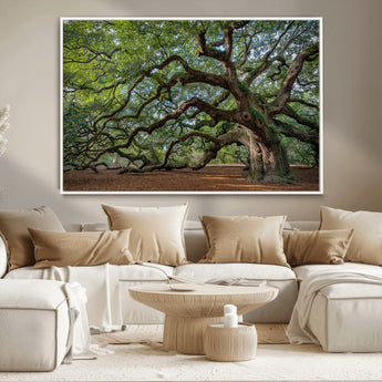 MGV-FC-36X24 - Historic Tree Wall Art Canvas Print, Framed Mossy Tree Art Picture Print, Twisted Branches Perfect Nature Southern Decor Artwork