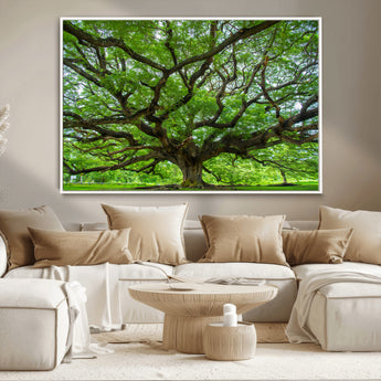 49375306-MGV-CV-36X24-Ancient Tree Wall Art Canvas Print, Framed Sprawling Branches Art Picture Print, Gnarling Tree Perfect Earthy Natural Decor