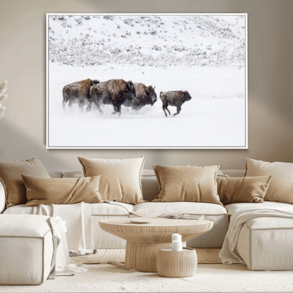 56216945-MGV-FC-36X24_White-Bison Herd Decor Wall Art Canvas Print, Framed Snowy Bison Scene Art Picture Print, Winter Wildlife Theme Perfect Rustic Western