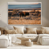 39509187-MGV-CV-36X24-Western Wildlife Wall Art Canvas Print, Framed Bison Art Picture Print, Golden Hour Perfect Western Rustic Decor Artwork
