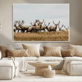 42170220-MGV-CV-36X24-Elk Herd Wall Art Canvas Print, Framed Wildlife Photography Art Picture Print, Majestic Antlers Perfect Rustic Wildlife Decor