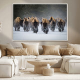 30332489-MGV-CV-36X24-Winter Bison Herd Wall Art – Powerful Buffalo Canvas Print, Rustic Wildlife Photography Decor for Farmhouse, Cabin, Lodge, Living