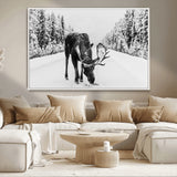 38956835-MGV-CV-36X24-Moose Winter Snowy Forest Canvas Wall Art – Wildlife Nature, Antlers in Frozen Landscape, Quiet Path, Cold Season Outdoors Print