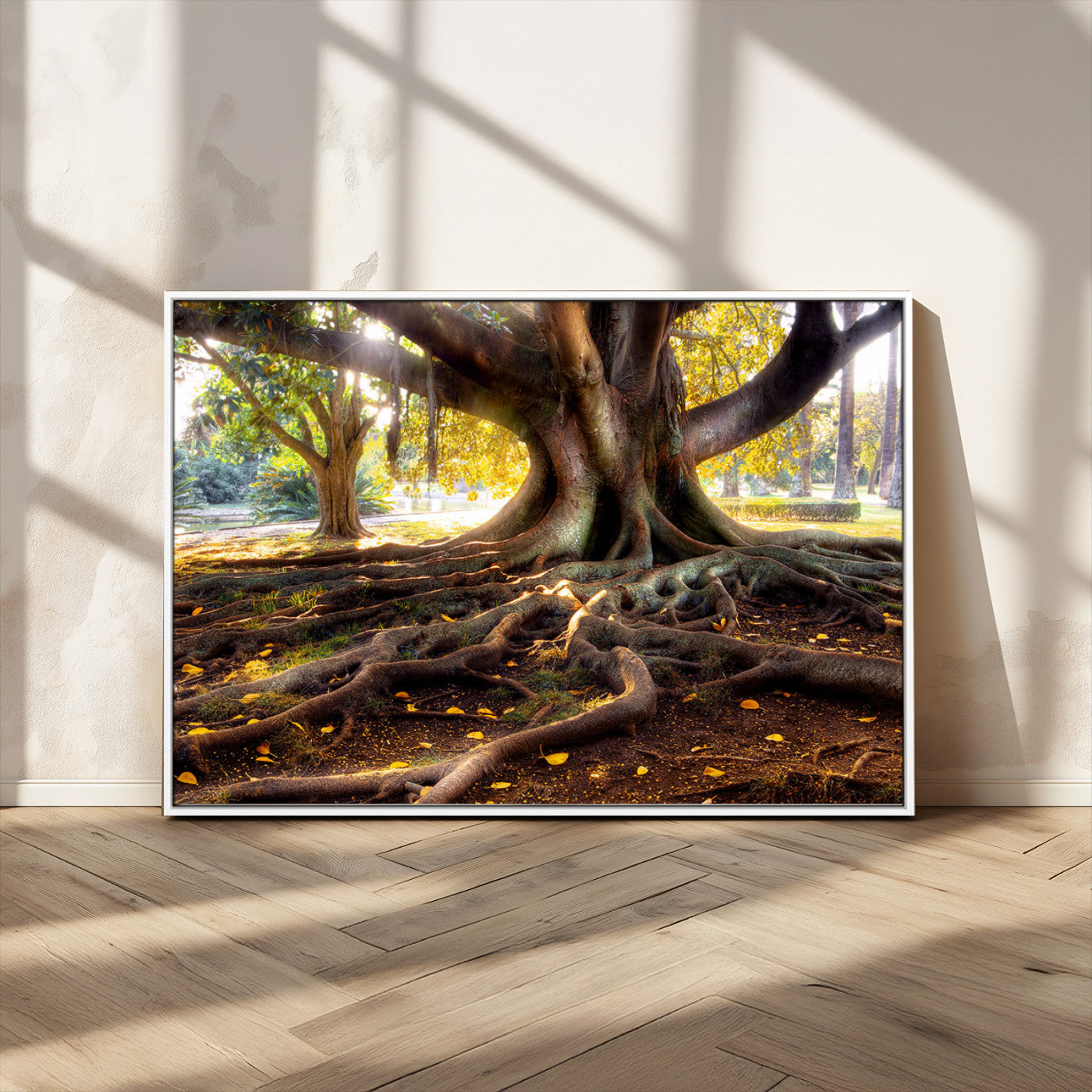 53335-MGV-CV-36X24-Majestic Tree with Sprawling Roots Wall Art – Serene Sunlit Park Scene, Nature Canvas Print, Perfect for Living Room, Office or