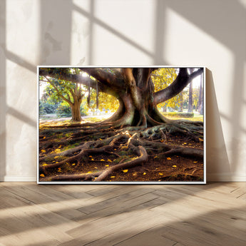 53335-MGV-CV-36X24-Majestic Tree with Sprawling Roots Wall Art – Serene Sunlit Park Scene, Nature Canvas Print, Perfect for Living Room, Office or