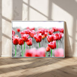 44554-MGV-CV-36X24-Vibrant red tulips stand out beautifully against a black-and-white background, making a striking decor piece perfect for any home