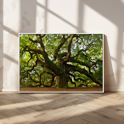 29407-MGV-CV-36X24-Ancient Oak Tree Wall Art – Majestic Nature Canvas Print, Large Tree Photography Decor for Living Room or Office