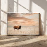 99699-MGV-CV-36X24-Bison in Prairie at Sunset – Wildlife Photography Print, American Buffalo Wall Art, Nature Landscape Canvas Decor for Office