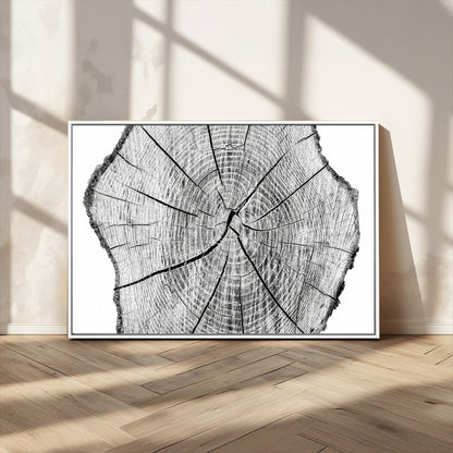 98709-MGV-CV-36X24-Tree Ring Wall Art – Black and White Canvas Print Rustic Wood Cross Section, Minimal Nature Inspired Decor for Living Room,