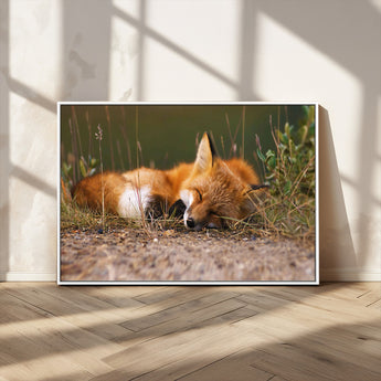 25085-MGV-CV-36X24-Sleeping Fox Wall Art Canvas Print, Framed Rustic Fox Art Picture Print, Wildlife Animal Perfect Rustic Farmhouse Decor Artwork