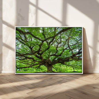 49375306-MGV-CV-36X24-Ancient Tree Wall Art Canvas Print, Framed Sprawling Branches Art Picture Print, Gnarling Tree Perfect Earthy Natural Decor