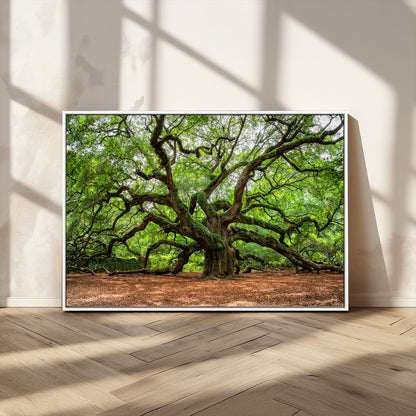 51255351-MGV-CV-36X24-Ancient Tree Wall Art – Majestic Oak Canvas Print, Large Nature Photography, Sacred Forest Landscape Wall Décor, Wisdom Tree