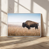 91267849-MGV-CV-36X24-Wild Bison Wall Art Canvas Print, Framed Bison in Prairie Art Picture Print, Rustic Western Perfect Rustic Western Decor Artwork