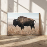 34451925-MGV-CV-36X24-Rustic Bison Decor Wall Art Canvas Print, Framed Buffalo Home Accent Art Picture Print, Prairie Wildlife Scene Perfect Western