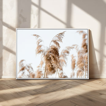 17019393-MGV-CV-36X24-Pampas Grass Wall Art Canvas Print, Framed Neutral Tones Art Picture Print, Minimalist Nature Perfect Boho Minimalist Decor