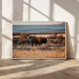 39509187-MGV-CV-36X24-Western Wildlife Wall Art Canvas Print, Framed Bison Art Picture Print, Golden Hour Perfect Western Rustic Decor Artwork