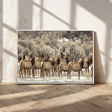 93076148-MGV-CV-36X24-Elk Herd Wall Art – Wildlife Canvas Print of Elk in Winter Landscape, Rustic Western Cabin & Lodge Décor, Nature Photography for