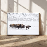 61161423-MGV-CV-36X24-Running Bison Herd Wall Art – Winter Buffalo Canvas Print, Wildlife Photography Decor for Rustic Living Room, Farmhouse, Lodge,