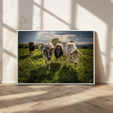 67277447-MGV-FC-36X24_White-Farmhouse Wall Art – Herd of Cows Canvas Print, Rustic Country Pasture Photography Decor for Bedroom, Living Room, Office, Ranch,