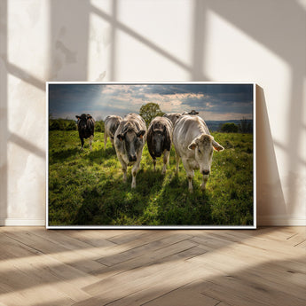 67277447-MGV-FC-36X24_White-Farmhouse Wall Art – Herd of Cows Canvas Print, Rustic Country Pasture Photography Decor for Bedroom, Living Room, Office, Ranch,